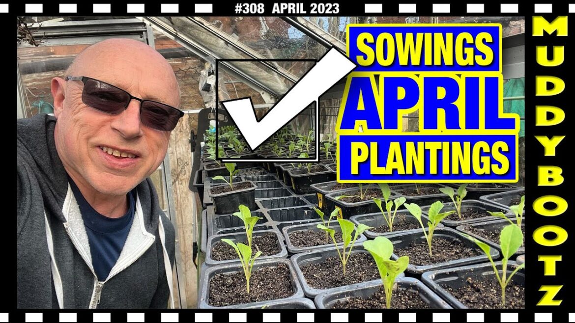 π»308 π» WHAT SEEDS TO SOW IN APRIL π» WHAT TO PLANT IN APRIL π»308 π» WHAT SEEDS TO SOW IN APRIL π» WHAT TO PLANT IN APRIL