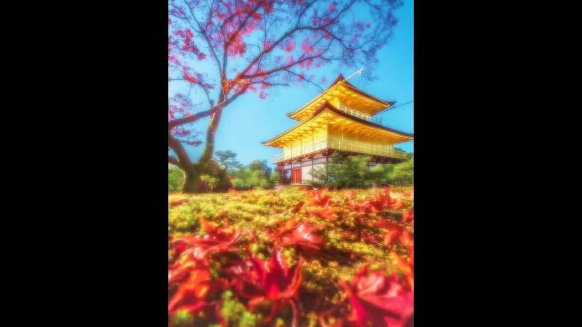 【Japanese Landscape】#shorts #Japan #view #temple #garden