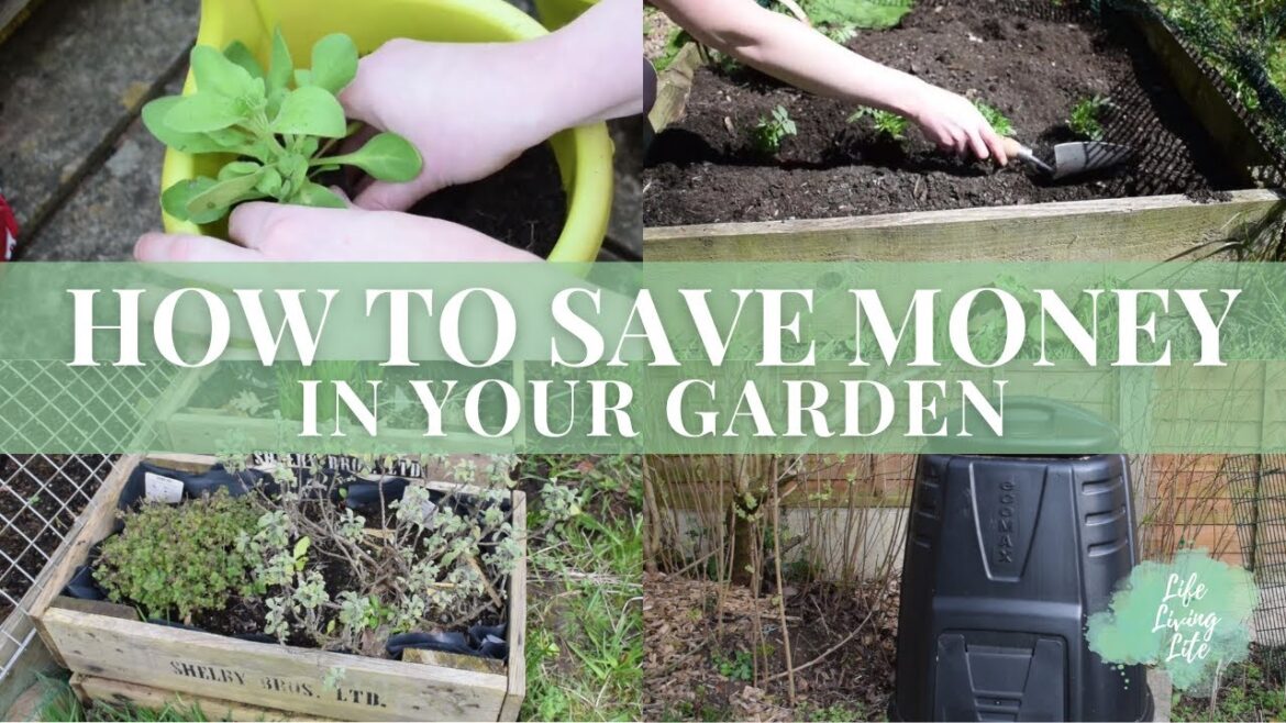 How to Save Money in Your Garden l Frugal Gardening Tips