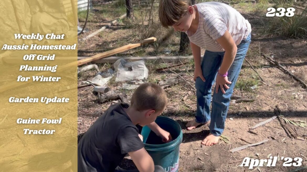 Weekly Chat - Garden update, Winter Plans, Storm Damage and Guinea Tractor! | Off Grid Australia 238