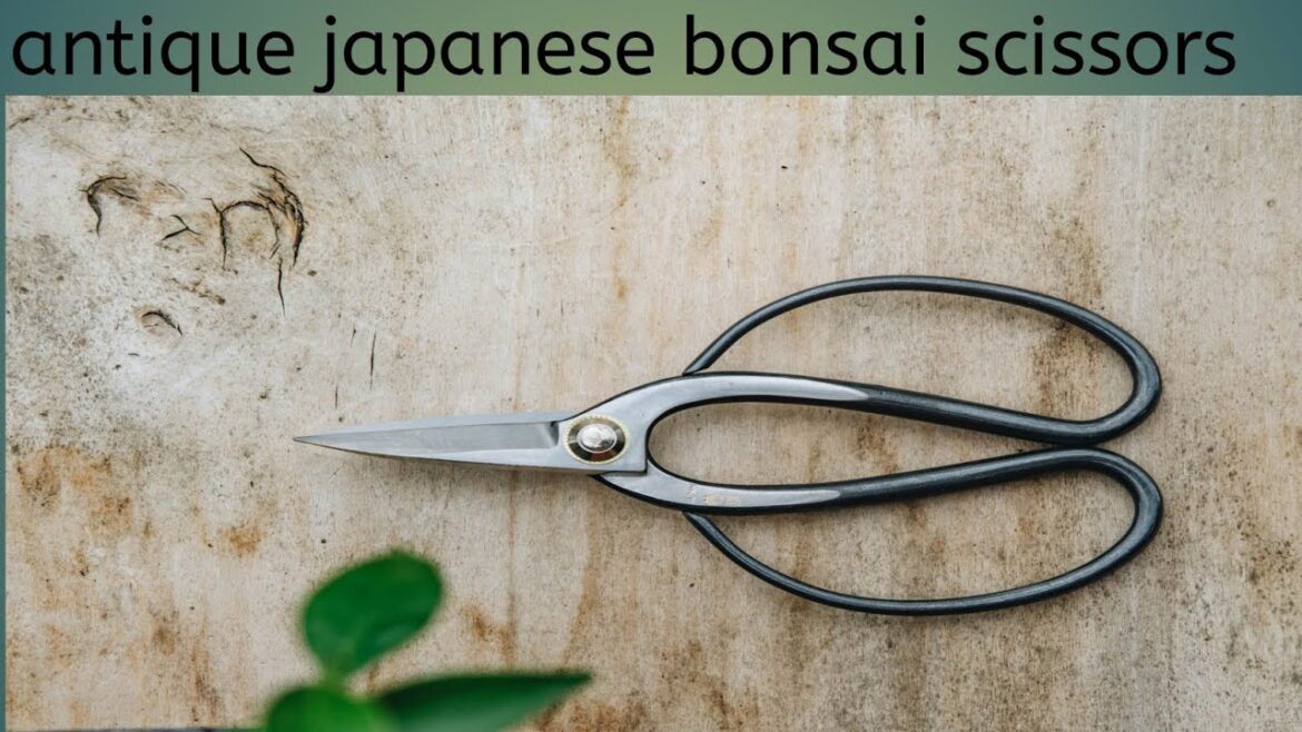 Rusty Japanese Bonsai Scissors #restoration Rusty Japanese Bonsai Scissors #restoration