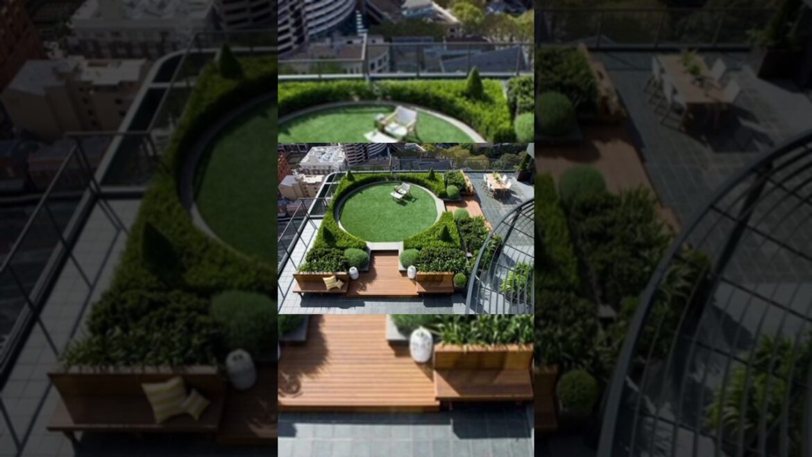 terrace garden design|| terrace garden ideas in home interior|| terrace garden tips|| shorts