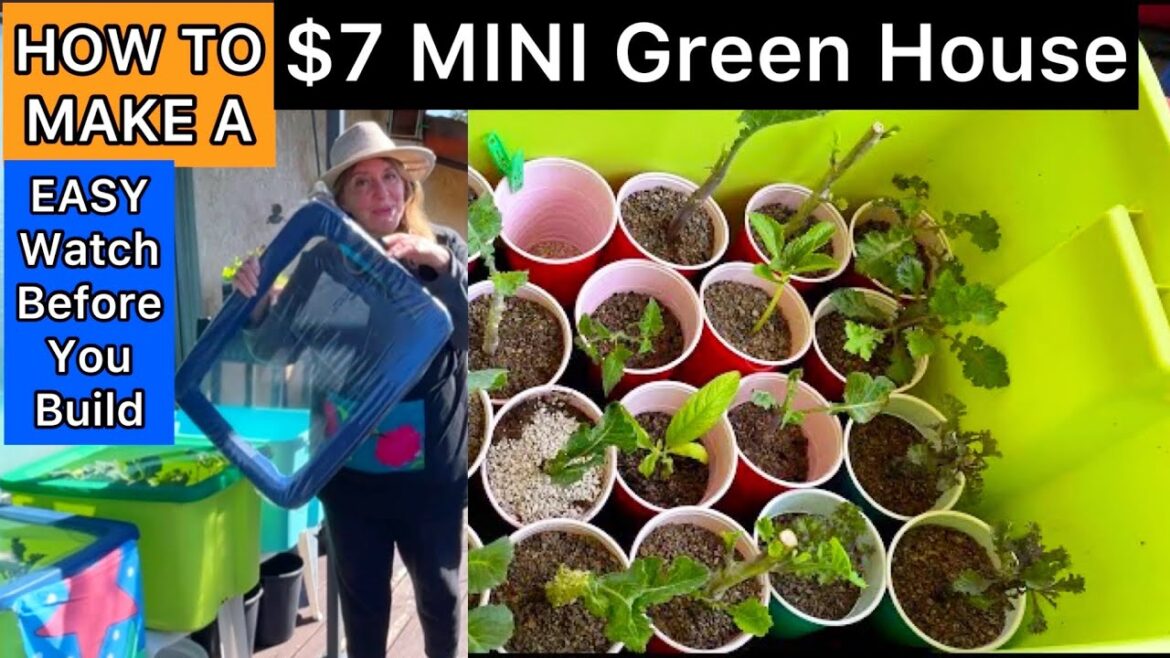 How to Make $7 Mini Greenhouse Start Seeds, Grow Seedlings Vegetables, Cuttings Ready for Garden