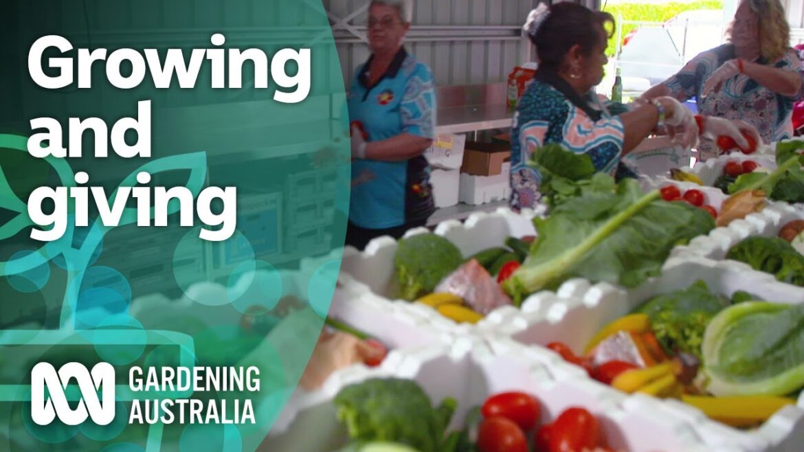 Growing vegies and friendships in a productive community garden | Gardening Australia Growing vegies and friendships in a productive community garden | Gardening Australia