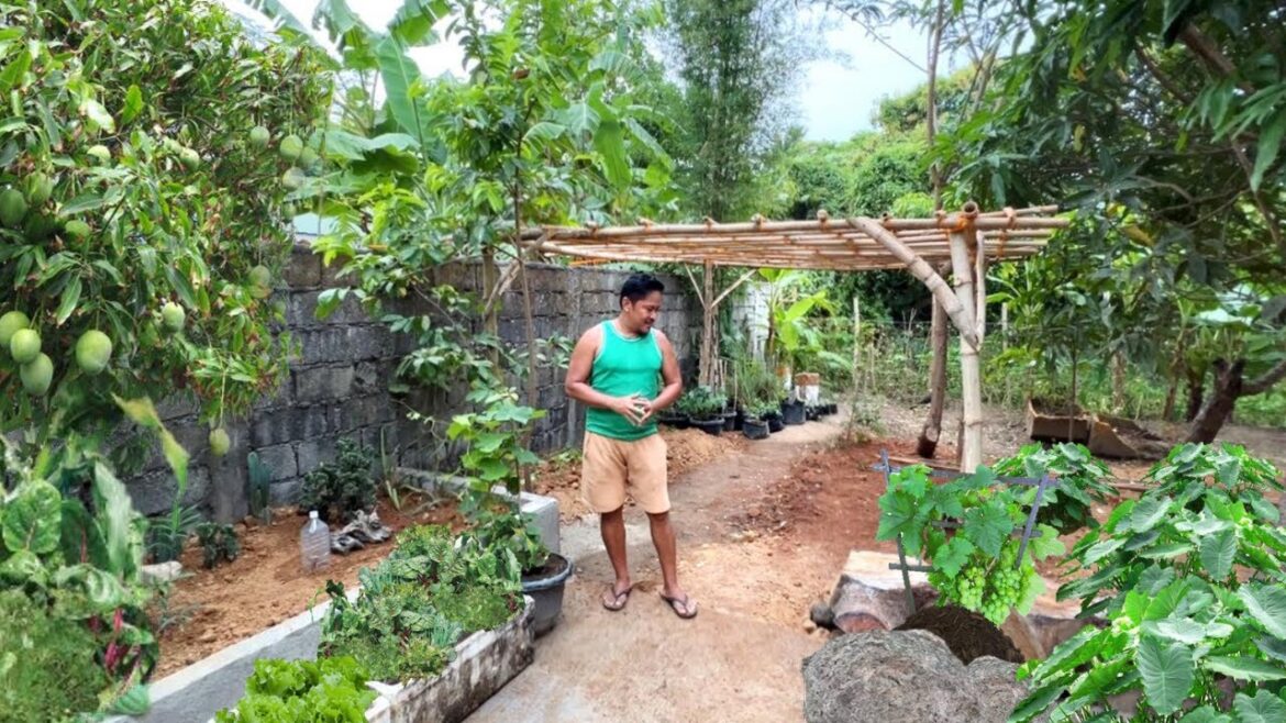 ANG PINAGHIRAPAN KONG GULAYAN SA LIKOD NG BAHAY!!! BUHAY PROBINSYA!!! VEGETABLE GARDEN!!! GARDENING!
