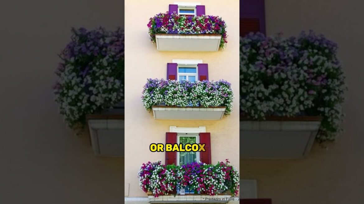 Beautiful Window Hanging Garden Ideas #shorts #trendingshorts #garden