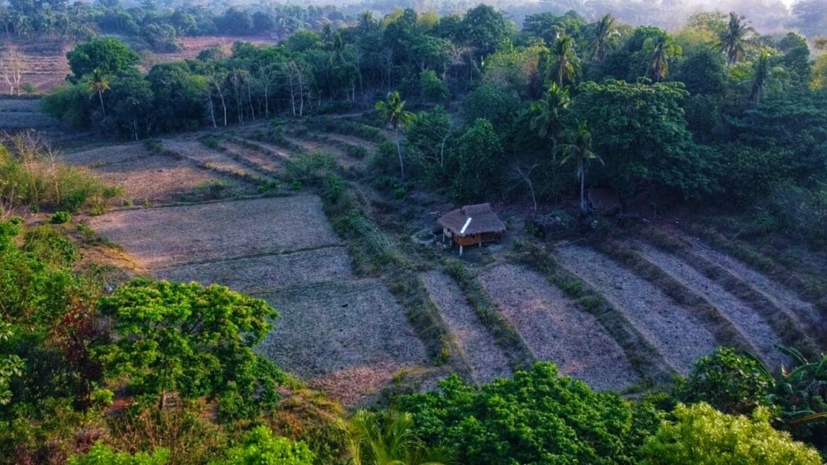 Tending backyard kitchen garden and simple boodle fight with family