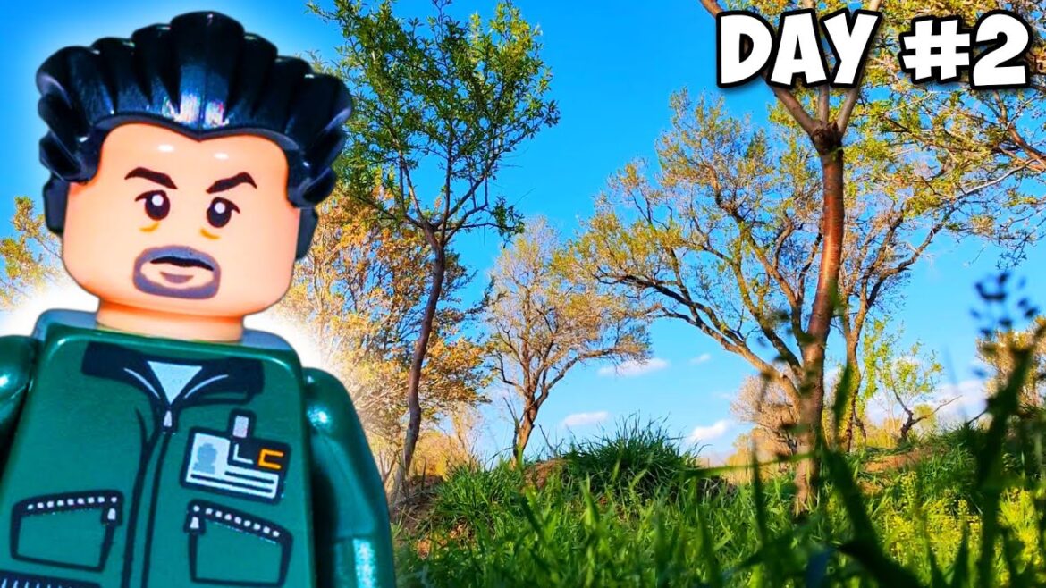 ” Imagine You Are a Little TOY : in The Grape Garden “ " Imagine You Are a Little TOY : in The Grape Garden "