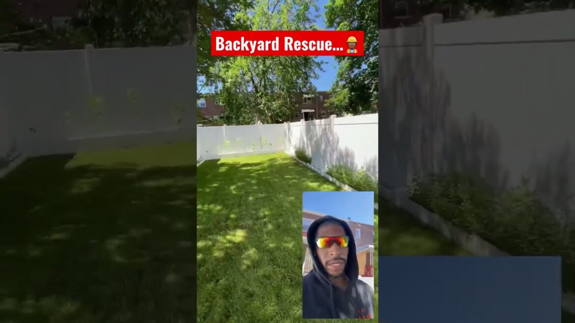 Rate This Backyard Renovation 1 - 10 👇 #realestate #shorts #landscape