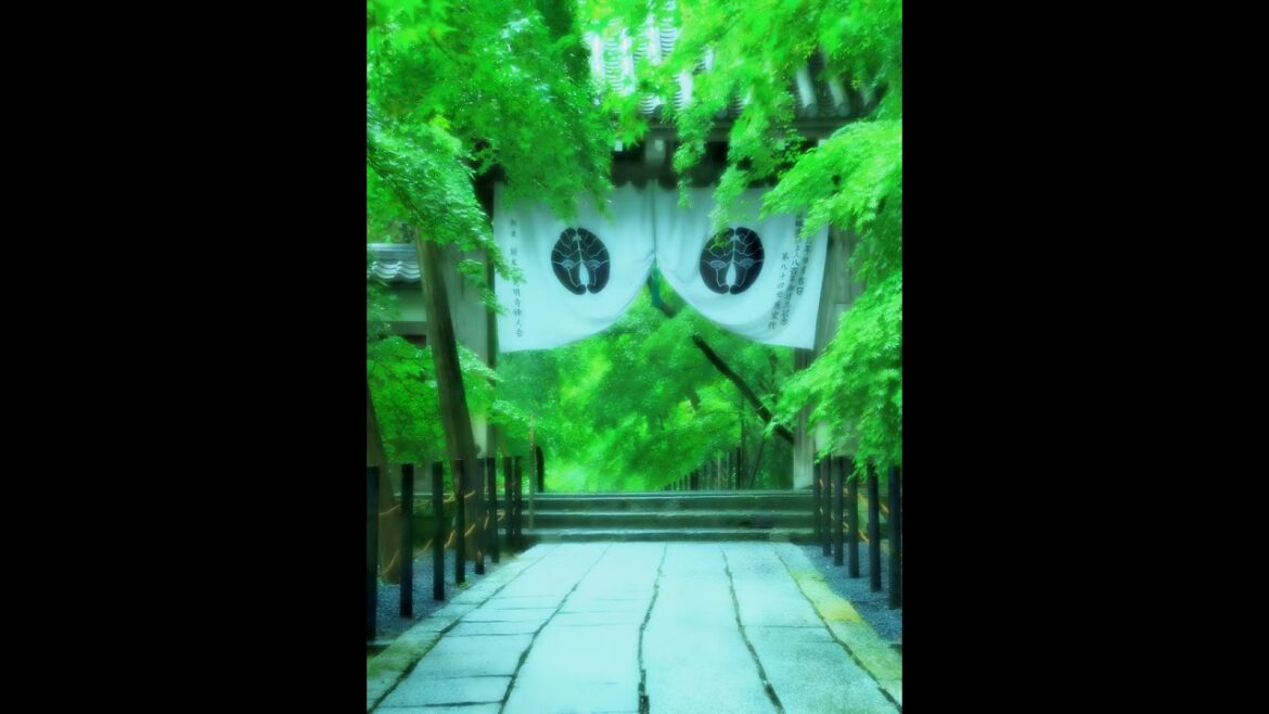 【Japanese Landscape】#shorts #Japan #Landscape #shrine #garden