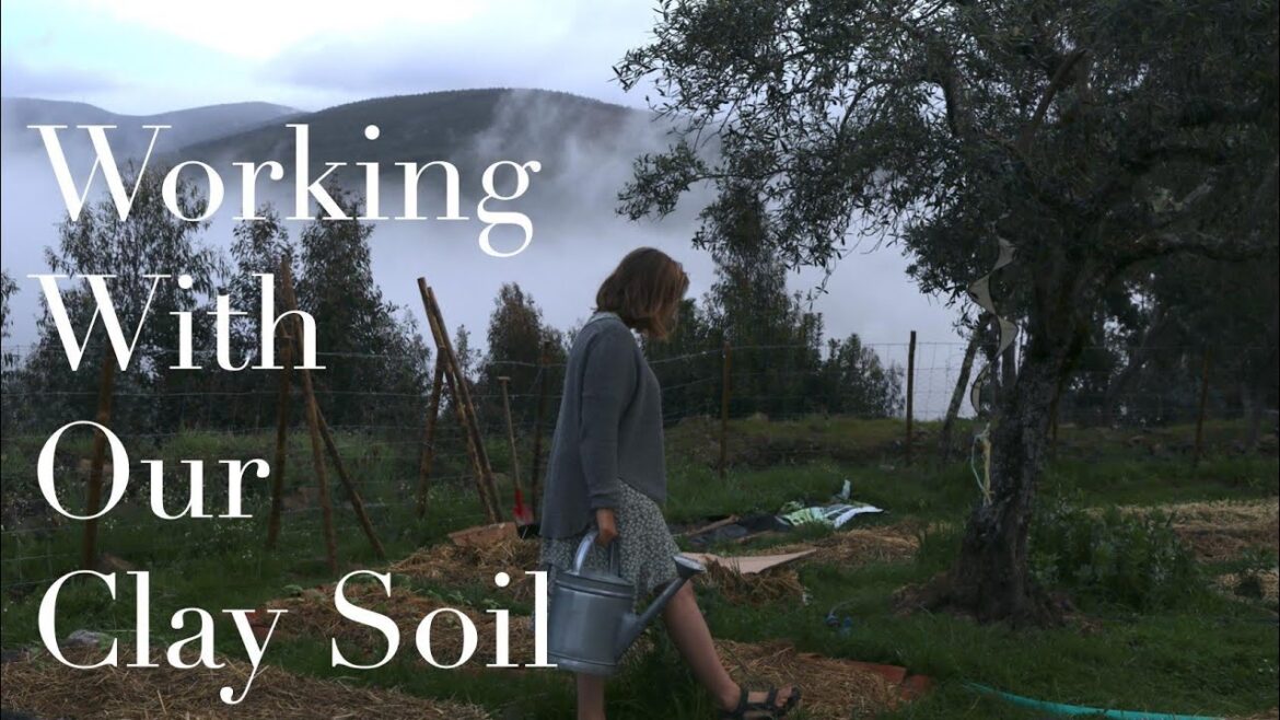 Everything Is Changing // Life in the Mountains of Portugal