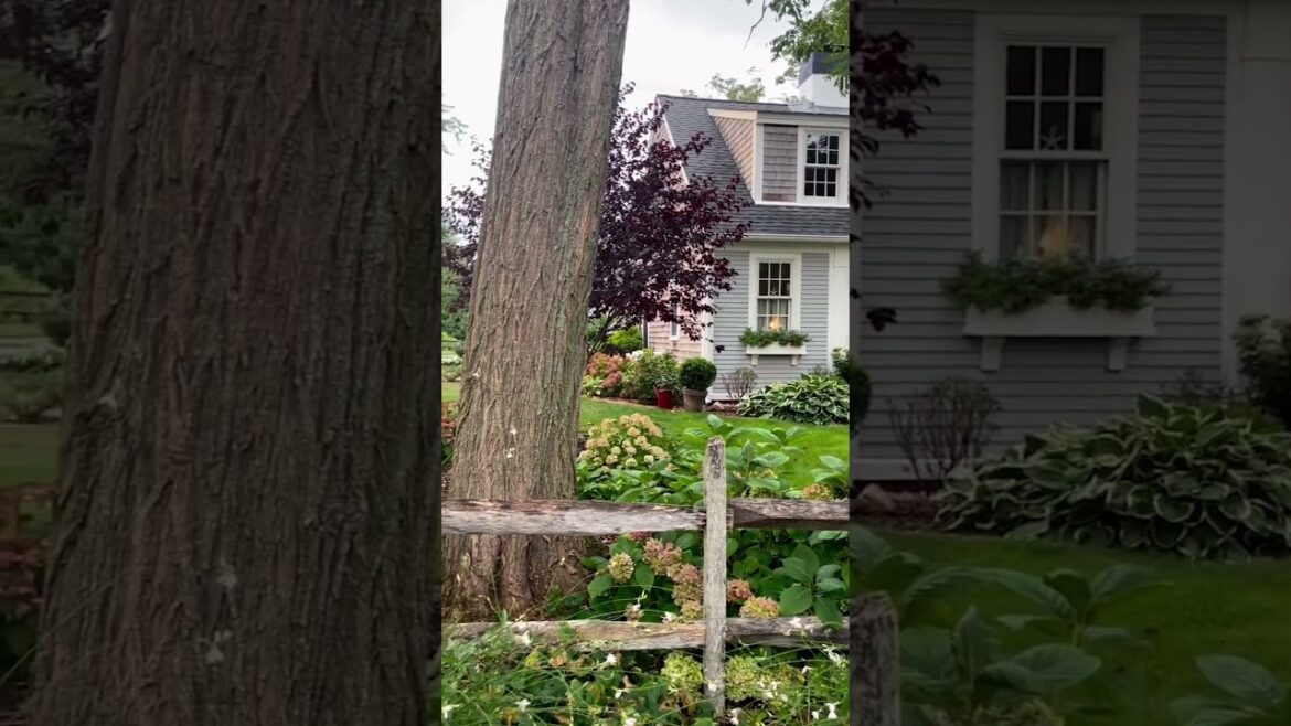 Beautiful Garden design Idea #garden #design #shorts