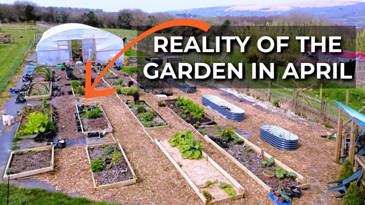 Garden Tour in early April | Homestead Garden | Growing for Self Sufficiency Garden Tour in early April | Homestead Garden | Growing for Self Sufficiency