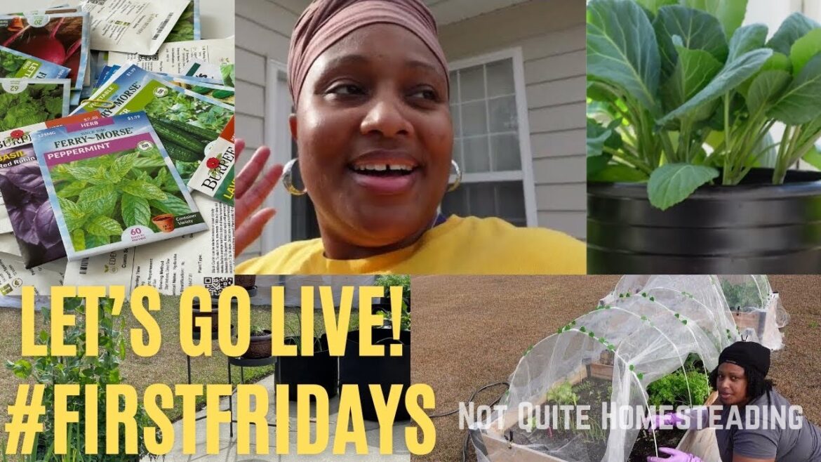 Spring Forward Live! Plus 10 Tips From A New Gardener | #garden #newchannel