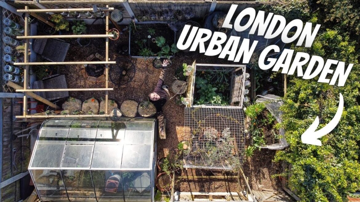 How we save money growing food in the city How we save money growing food in the city