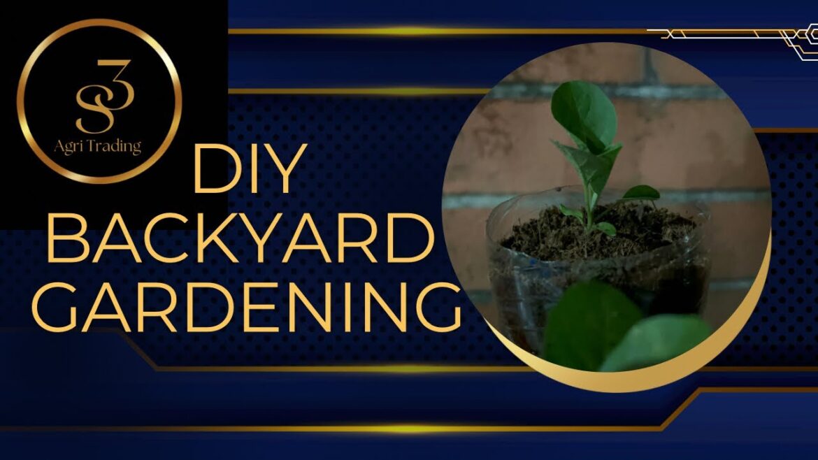 Backyard Gardening DIY