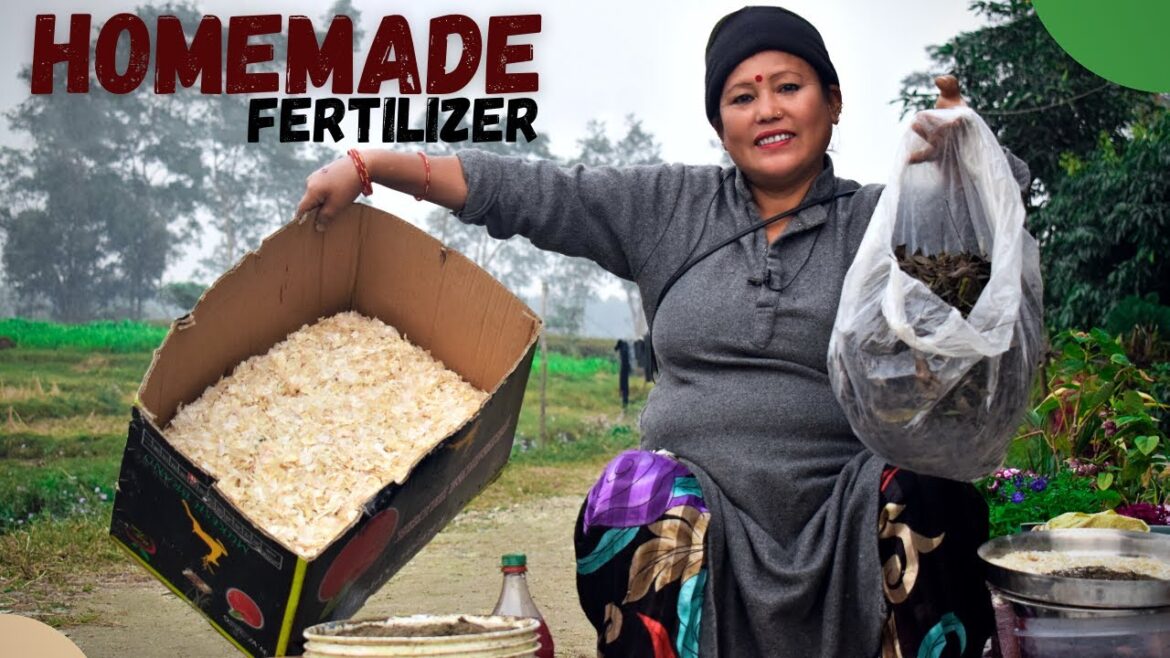 How to Make Homemade Fertilizer For Plants? Nepali Gardening Tips