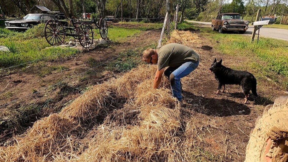 PLANTING SUNFLOWERS AND ZINNIA CUT FLOWER GARDEN | NEW FARMING ON 140 YEAR OLD FARM