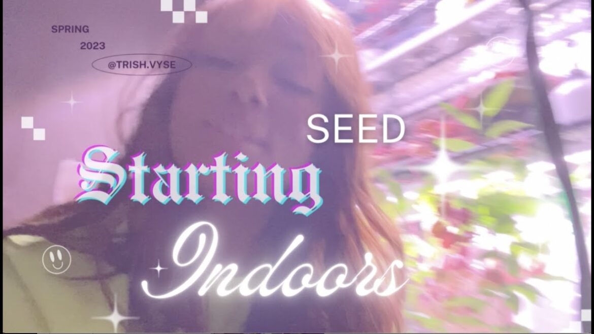 QUIET 🤫 SEED STARTING | MARCH 2023 | ZONE 5 INDOOR GARDENING GROW LIGHTS | 8-10 WEEKS BLFD | LOFI