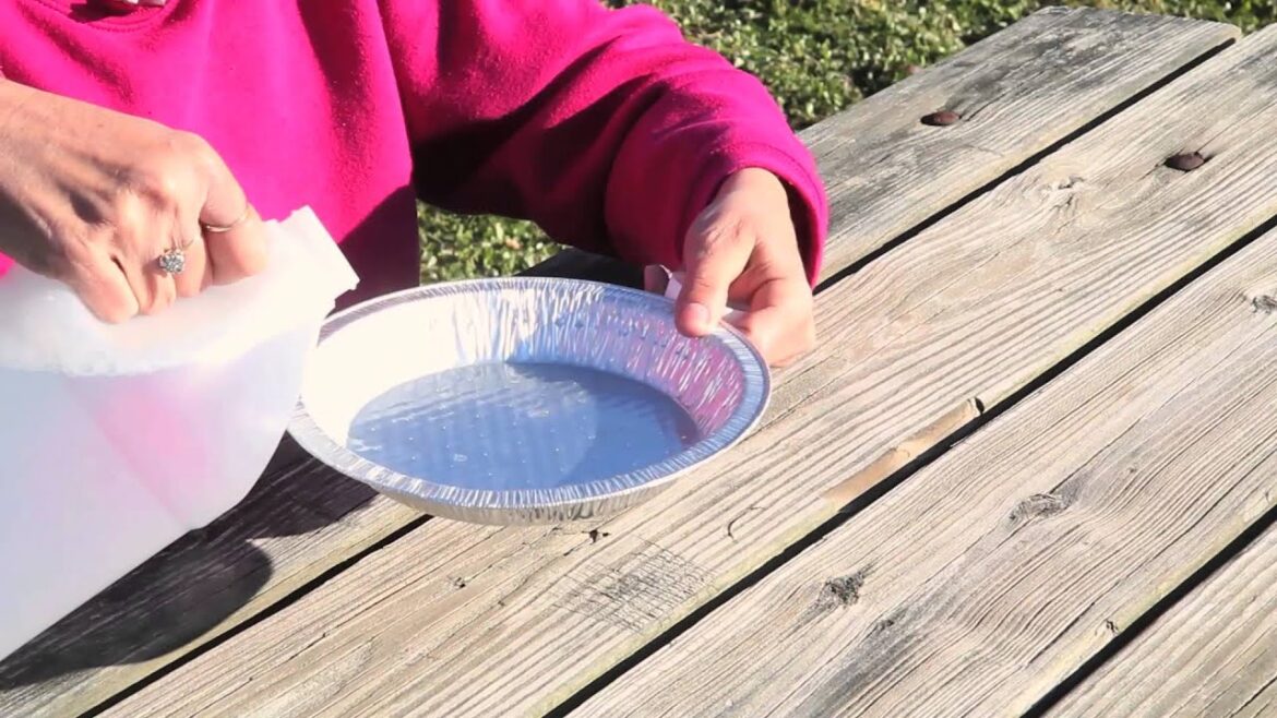 Homemade Garden Groundhog Repellent : Great Gardening Advice Homemade Garden Groundhog Repellent : Great Gardening Advice