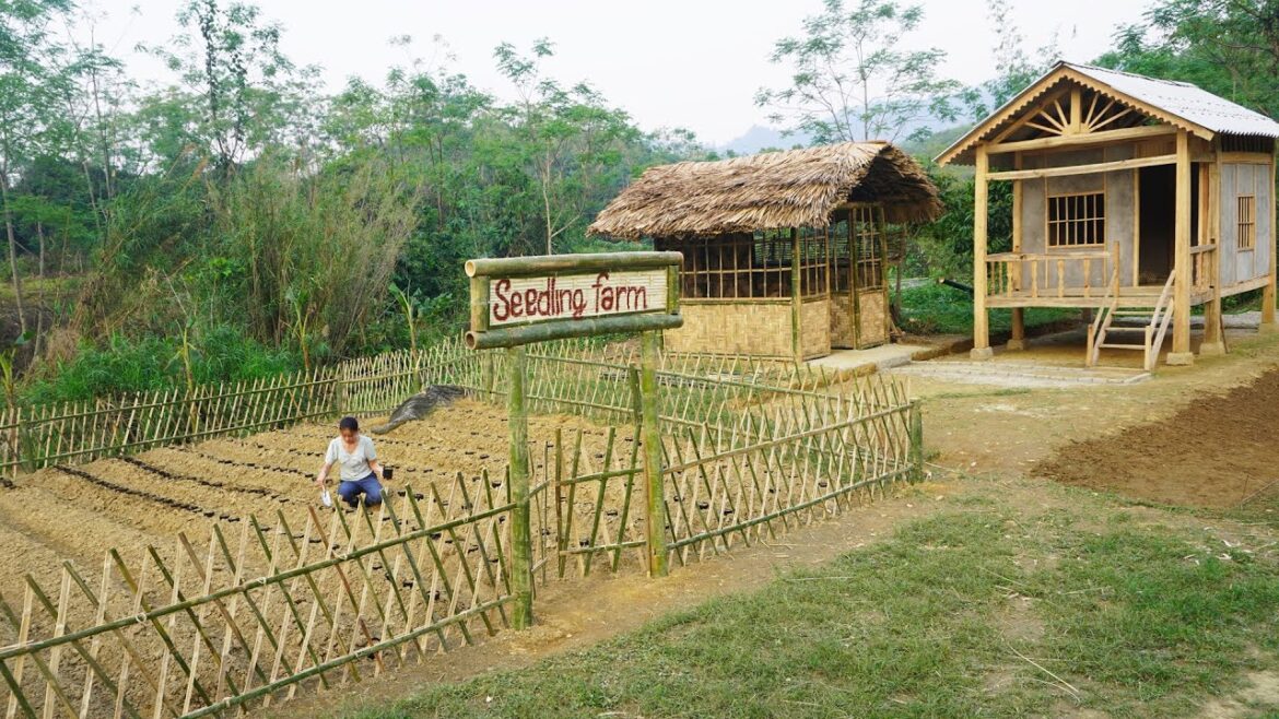 Large Vegetable Garden, Sow Vegetable Seeds, Building Farm | Hoàng Thị Chiển