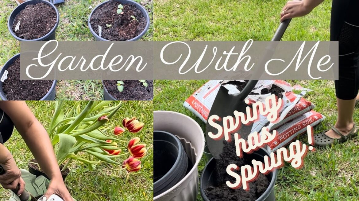 Container Garden with Me! | How to Grow Plants, Flowers, Fruits and Vegetables in Small Spaces