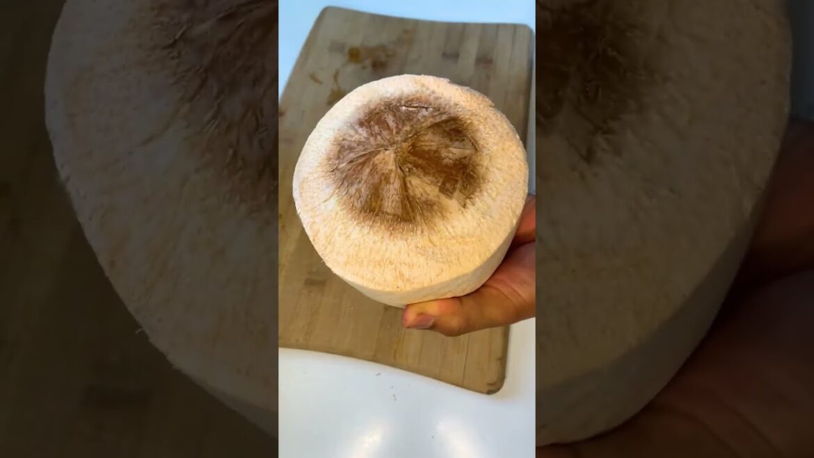 How to Build a Garden Archway #Shorts