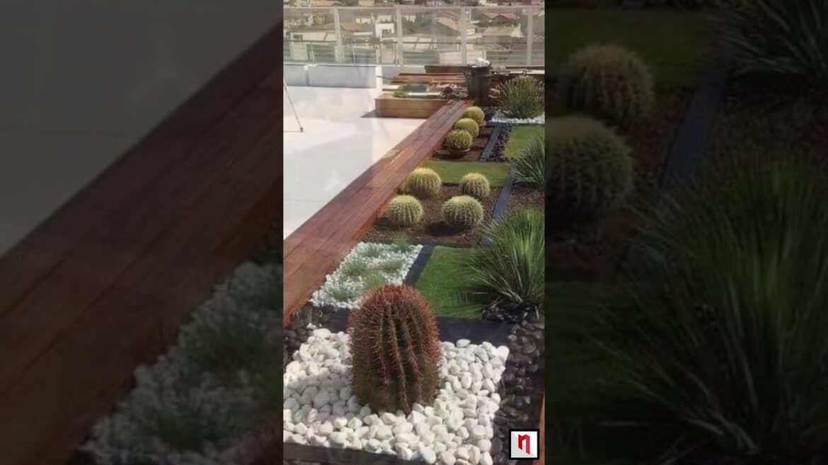 Terrace garden Ideas Design | rooftop garden setup | Modern House Exterior Design | #shorts