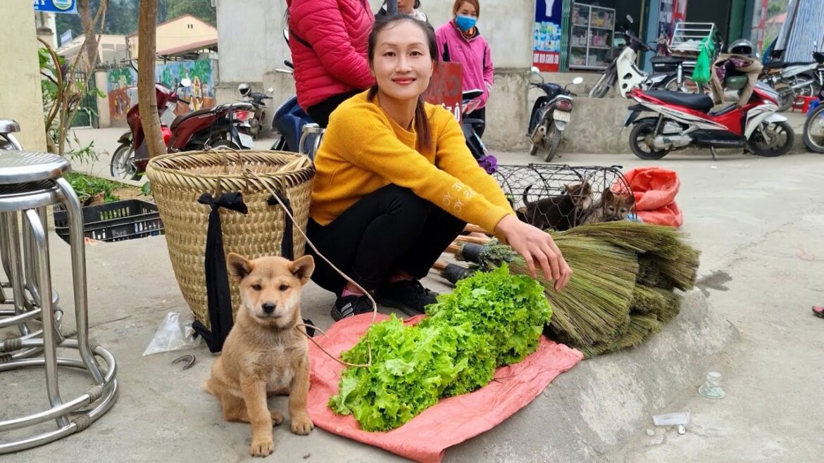 FULL VIDEO: Broom making process | Harvest lettuce, ginger, vegetable garden goes to market sell FULL VIDEO: Broom making process | Harvest lettuce, ginger, vegetable garden goes to market sell