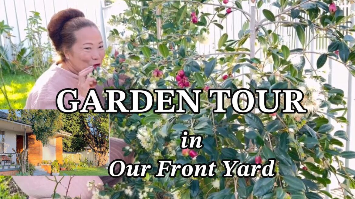 ๐๐๐ซ๐๐๐ง ๐๐จ๐ฎ๐ซ ๐
๐ซ๐จ๐ง๐ญ ๐๐๐ซ๐ (EP 1) #gardentour #garden #gardening #rosebudsavona ๐๐๐ซ๐๐๐ง ๐๐จ๐ฎ๐ซ ๐
๐ซ๐จ๐ง๐ญ ๐๐๐ซ๐ (EP 1) #gardentour #garden #gardening #rosebudsavona