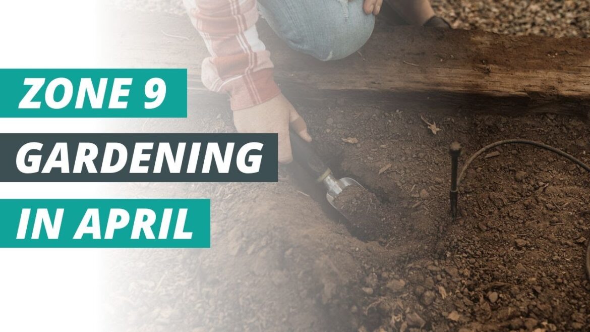 April gardening tips & tasks for zone 9 gardeners! April gardening tips & tasks for zone 9 gardeners!