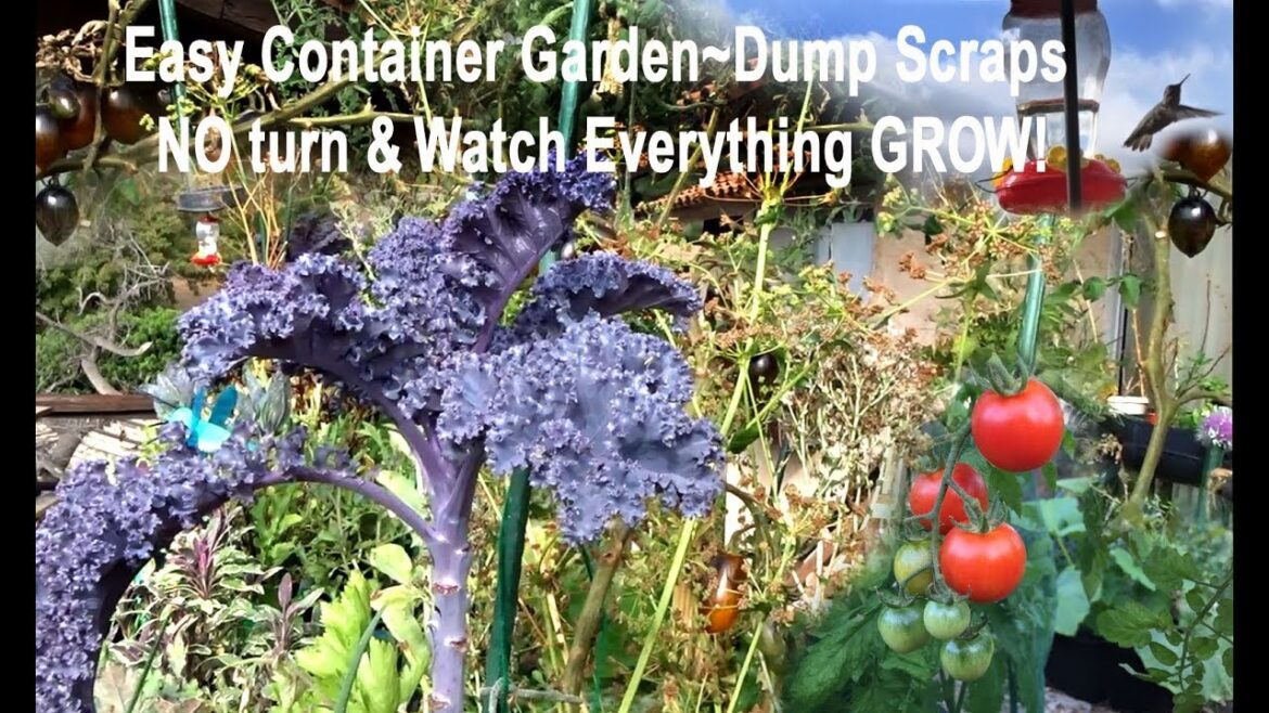 Tips to Container Gardening Easy DIY Compost in Place-No Turn-Success How to Grow a Vegetable Garden Tips to Container Gardening Easy DIY Compost in Place-No Turn-Success How to Grow a Vegetable Garden