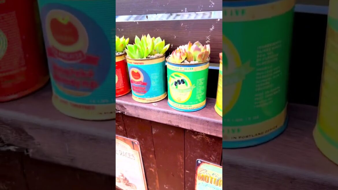 Whimsical Succulent Plants: Delightful YouTube Shorts #Shorts