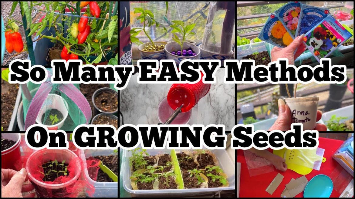 TIPS & Technique on Starting Seeds Indoors Will Changed Your Gardening Life for Growing Success EASY