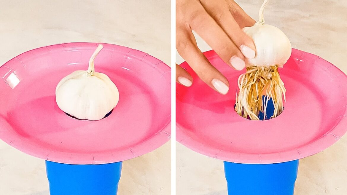 Useful Gardening Tips And Tricks To Plant Your Own Food