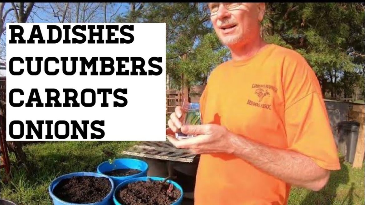 Container Garden Planted