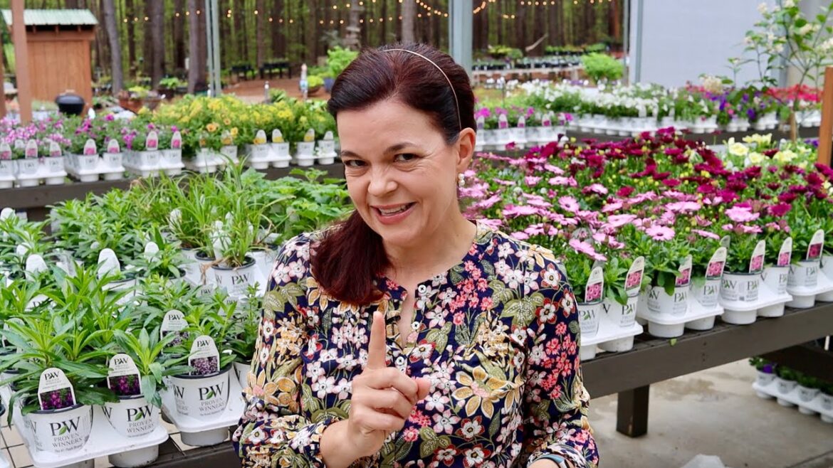 Spring is Here, Let’s Plant! | Gardening with Creekside Spring is Here, Let's Plant! | Gardening with Creekside