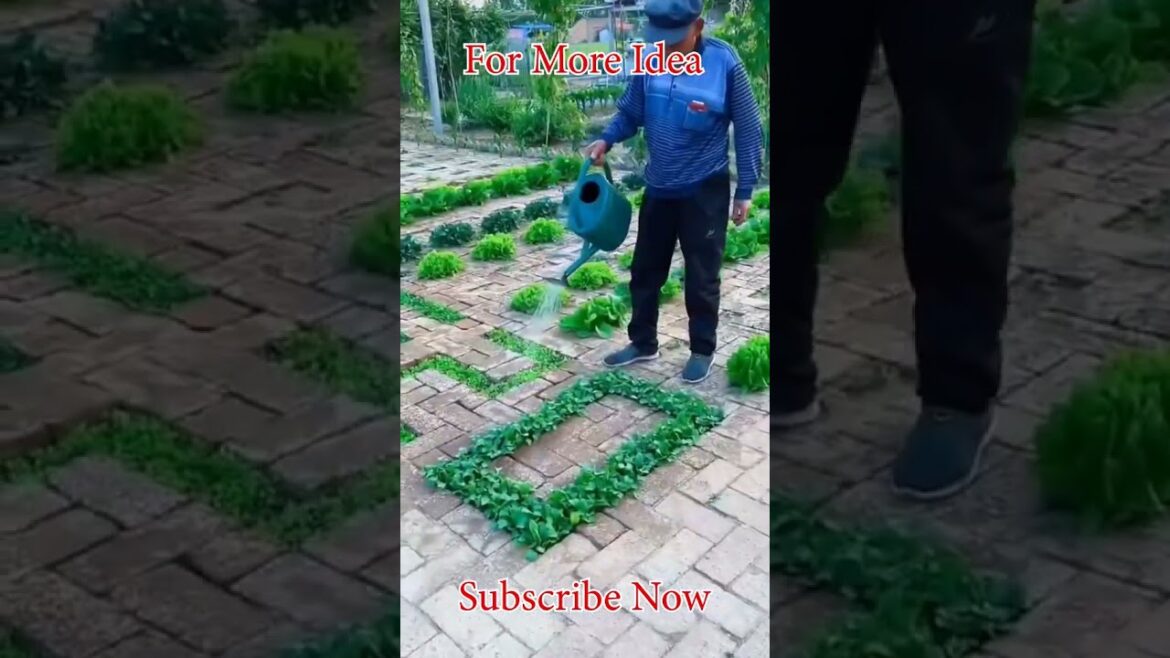 Simple Garden Hacks for a Beautiful and Productive Garden | Life Hacking Tips Simple Garden Hacks for a Beautiful and Productive Garden | Life Hacking Tips