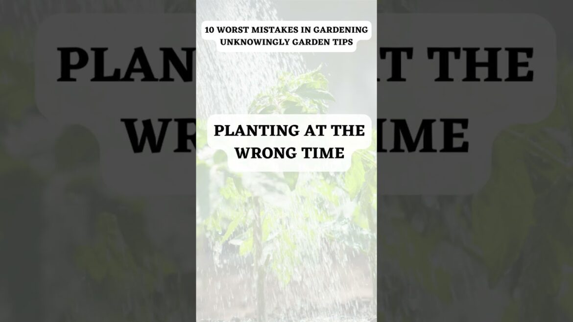 10 WORST MISTAKES IN GARDENING – Unknowingly  GARDEN TIPS #Shorts