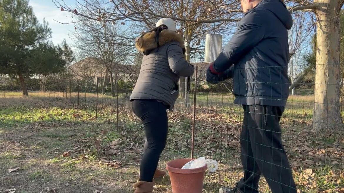 BUILDING OUR NEW VEGETABLE GARDEN | JOBY MAY BUILDING OUR NEW VEGETABLE GARDEN | JOBY MAY