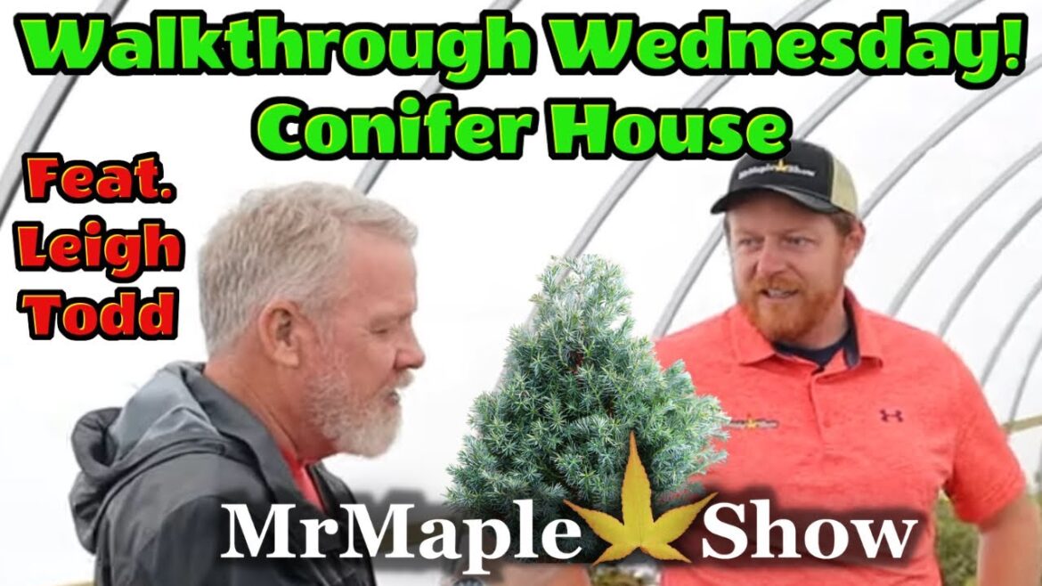 Conifer House Walkthrough with Leigh Todd | Garden Design & Home Improvement Conifer House Walkthrough with Leigh Todd | Garden Design & Home Improvement