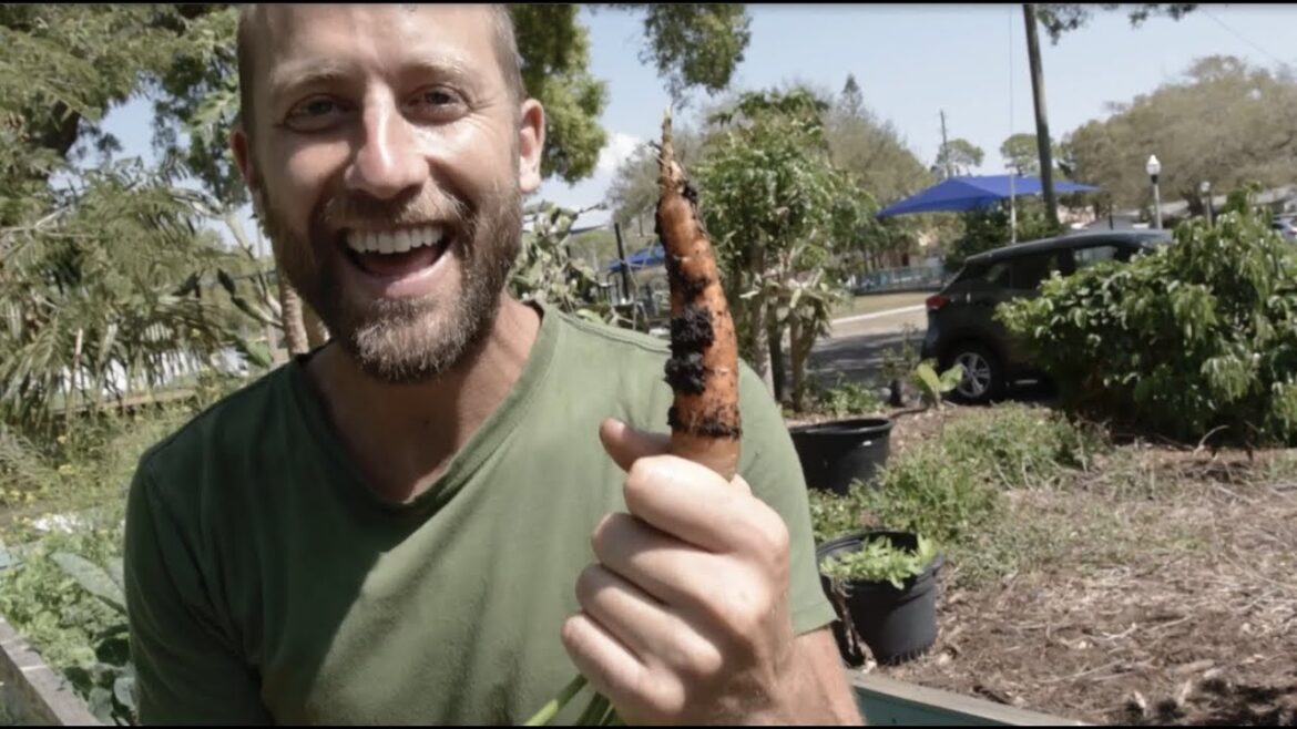 Free Seed Project Demonstration Garden Video Series (Part 1) Free Seed Project Demonstration Garden Video Series (Part 1)