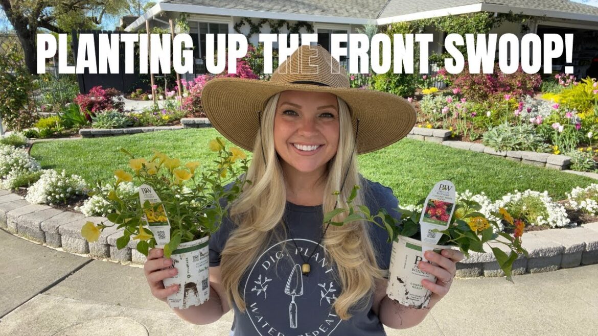Planting Up My Front Annual Swoop Garden Bed with Proven Winners Annuals! 🌸 Zone 9b Garden