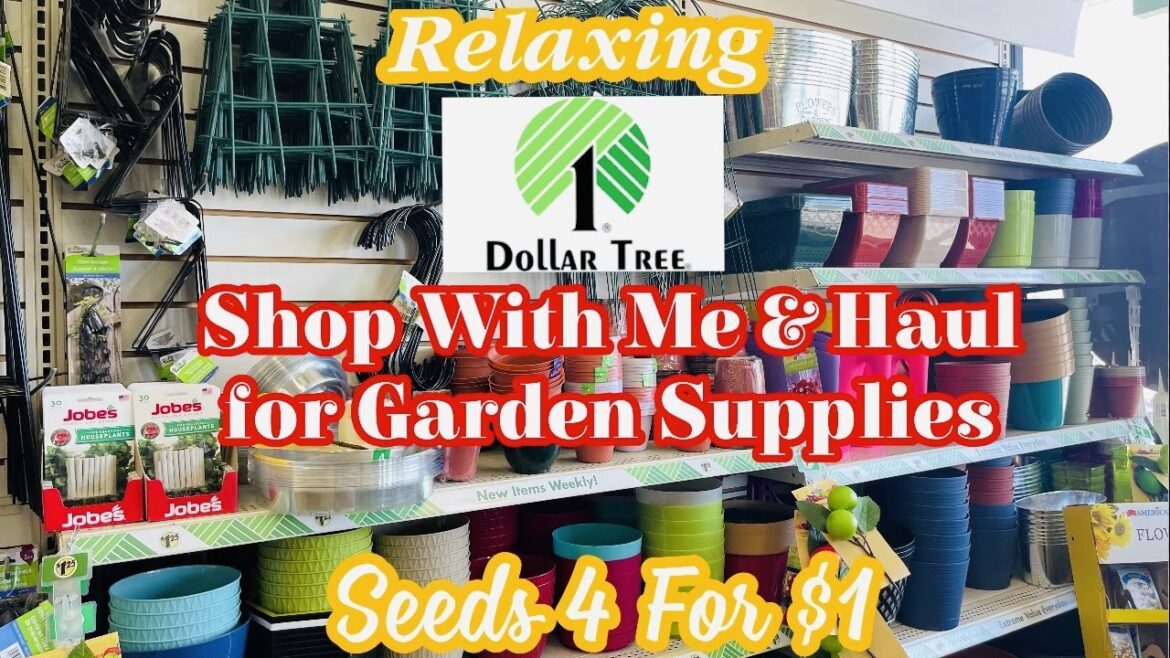 Dollar Tree Shop with Me & Haul for Garden Supplies || Seeds 4 for $1 || What's New This Year?