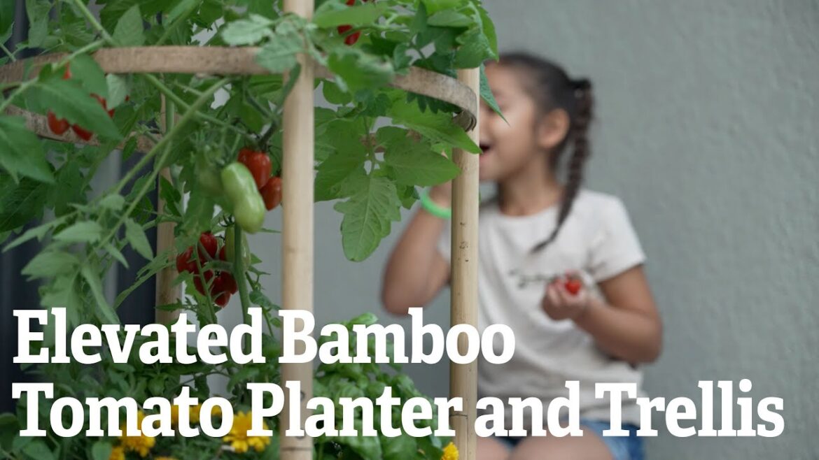 Elevated Bamboo Tomato Planter and Trellis