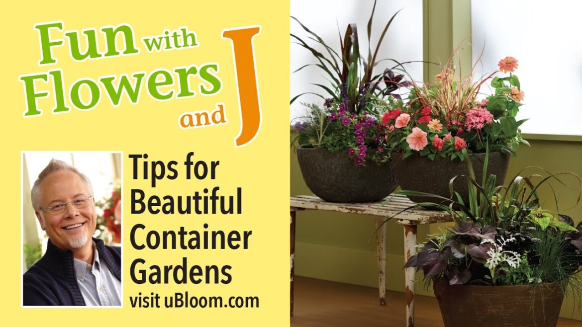 Container Garden Tips! Container Garden Tips!