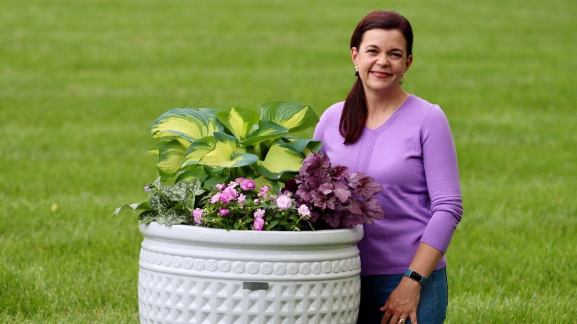 Create a Container of Color---For the Shade!