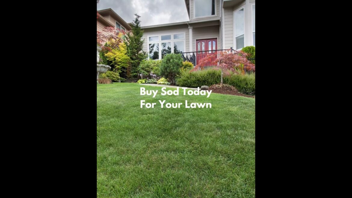 St Augustine Grass For Sale Spring & The Woodlands TX – sodgrasspallets.com St Augustine Grass For Sale Spring & The Woodlands TX - sodgrasspallets.com