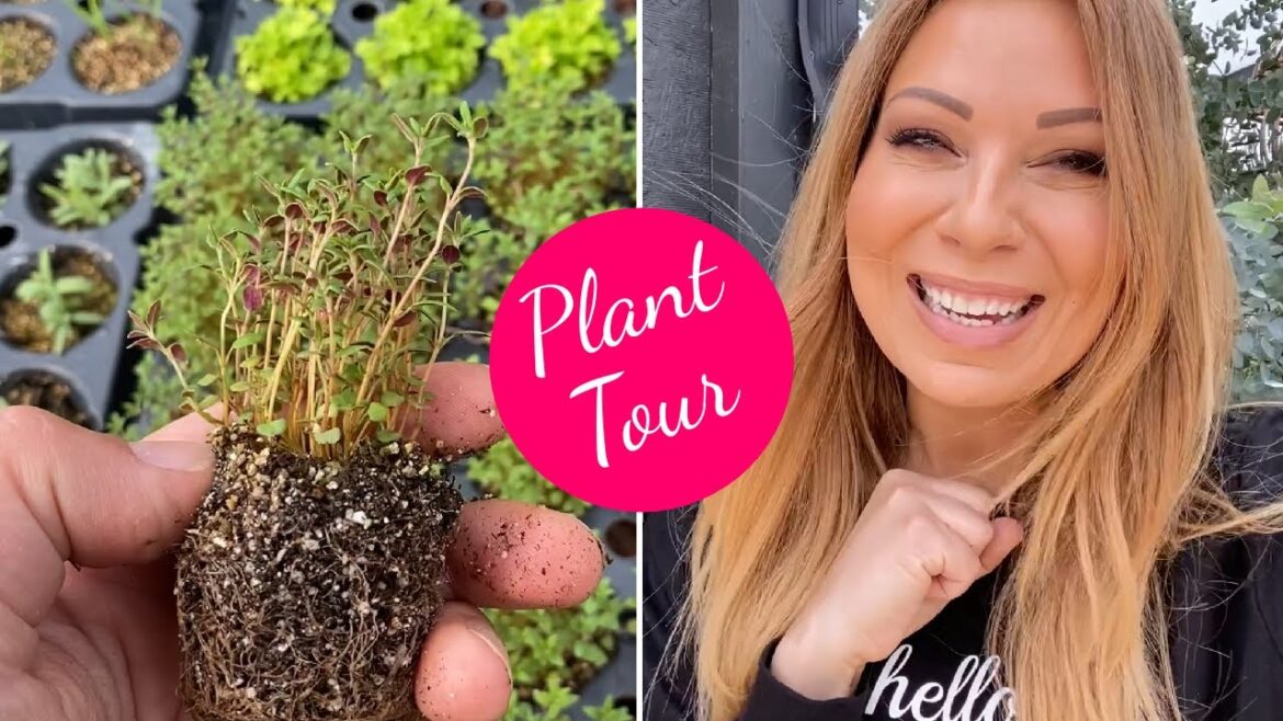 Greenhouse Plant Tour | April 10th 2023