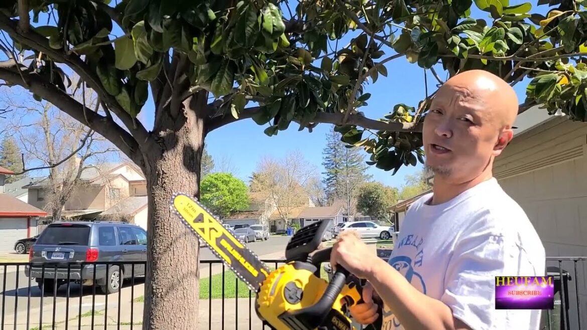 Saved $300 Dewalt 12″ Cordless Chainsaw Cutting 25′ Tree Saved $300 Dewalt 12" Cordless Chainsaw Cutting 25' Tree